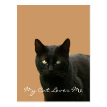 Black Cat Watching Postcards