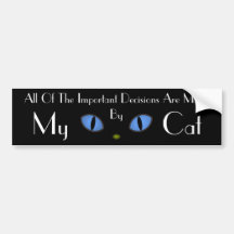 Black Cat With Big Blue Eyes Bumper Sticker