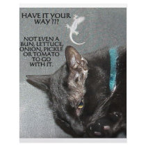 BLACK CAT WITH GECKO CUSTOM LETTERHEAD