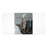 BLACK CAT WITH GECKO photo cards