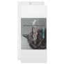 BLACK CAT WITH GECKO CUSTOM RACK CARDS