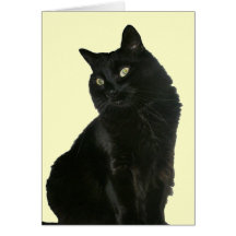 Black Cat with Golden Eyes Card