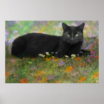 Black Cat with Green Eyes in Summer Garden Poster