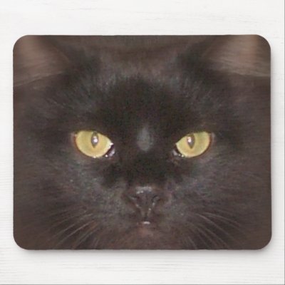 black cats eyes mouse mats by kellyk330