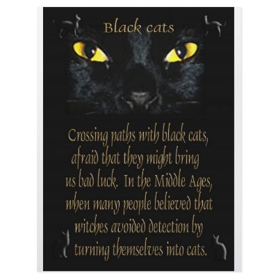 Black cats customized letterhead by toots1