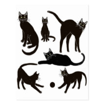 Black Cats Postcard