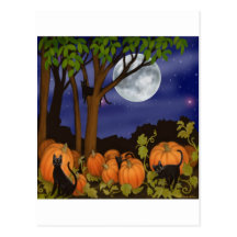 Black Cats & Pumpkins Postcard