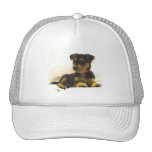 Black Chihuahua Baseball Cap Mesh Hats