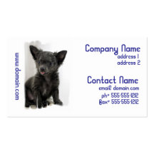 Black Chihuahua  Business Cards