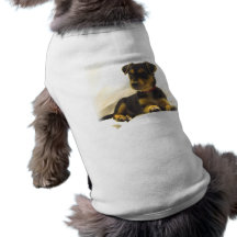 Black Chihuahua Dog Shirt