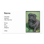 Black Chinese Pug Business Card