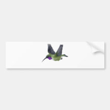 Black Chinned Hummingbird Bumper Stickers