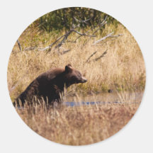 Black Cinnamon Bear Round Stickers