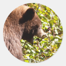 Black Cinnamon Bear Round Stickers