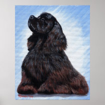 Black Cocker Spaniel Dog Portrait Print