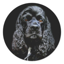 Black Cocker Spaniel Round Stickers