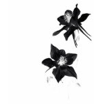Black Columbine t-shirts