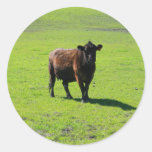 Black Cow Sticker