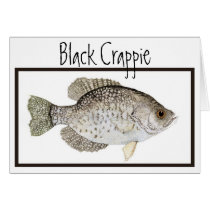 Black Crappie card