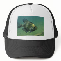 Black crappie hat