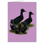 Black Crested Duck Family Greeting Cards