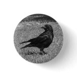 Black crow buttons