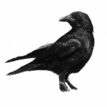 Black Crow photo sculpture