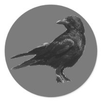 Black crow stickers