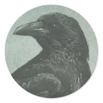 Black Crow stickers