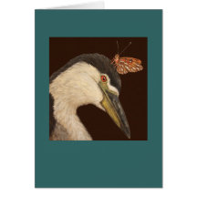 Black crowned night heron card