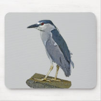 Black-crowned Night Heron Mouse Mats