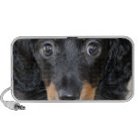 Black Dachshund Puppy Speakers speakers