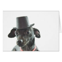 black dachshund wearing a tophat card