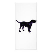 Black Dog rack cards