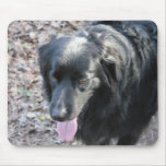 black dog mouse mat