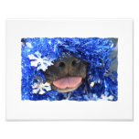 Black Dog Nose with Blue Tinsel Tongue Out Photo Art
