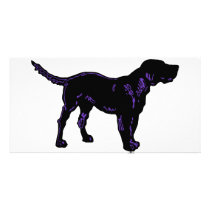 Black Dog photo cards