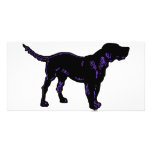 Black Dog Photo Cards