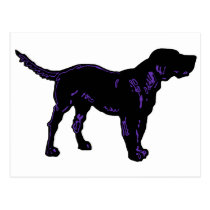 Black Dog postcards