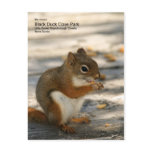 Black Duck Cove Park Postcard