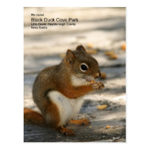 Black Duck Cove Park Postcard