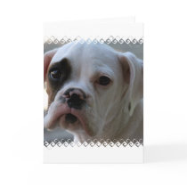 Black Eyed Boxer Dog Greeting Card