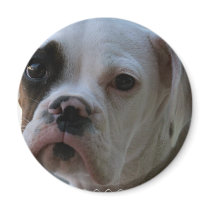 Black Eyed Boxer Dog Round Magnet