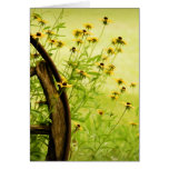 Black-Eyed Susan and Wagon Wheel Photo Greeting Cards