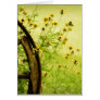 Black-Eyed Susan and Wagon Wheel Photo Greeting Cards