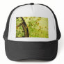 Black-Eyed Susan and Wagon Wheel Photo Mesh Hat