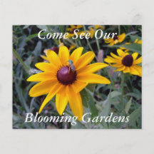 Black-Eyed Susan Botanical Garden Tours Flyer