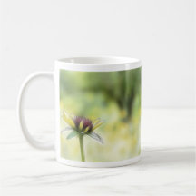Black Eyed Susan Bud And The Old Oak Mugs