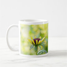 Black Eyed Susan Bud In Profile Mugs