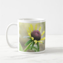 Black Eyed Susan Bud Mug